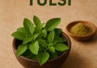 ತುಳಸಿಯಿಂದ ಏನೆಲ್ಲಾ ಉಪಯೋಗ ಇದೆ? ಇಲ್ಲಿ ನೋಡಿ