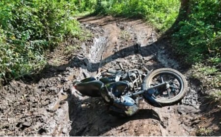 ಜಾತಿ ಗಣತಿಗೆ ತೆರಳುತ್ತಿದ್ದ ಶಿಕ್ಷಕನ ಮೇಲೆ ಕಾಡಾನೆ ದಾಳಿ