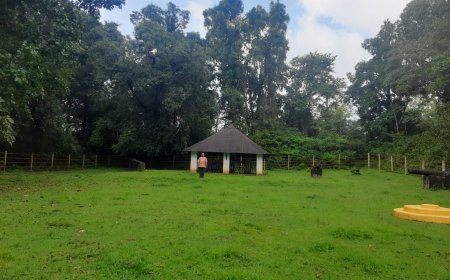 ಸೋಂದಾ ಕೋಟೆಯ ಐತಿಹಾಸಿಕ ವಿಶೇಷನ್ಯಾಯ ಪೀಠ.