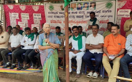 ಶರಾವತಿ ಪಂಪ್ಡ್ ಸ್ಟೋರೇಜ್ ಯೋಜನೆ ಬೇಡವೇ ಬೇಡ: ಬಿ.ಟಿ.ಲಲಿತಾ ನಾಯಕ್