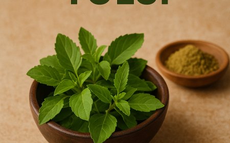 ತುಳಸಿಯಿಂದ ಏನೆಲ್ಲಾ ಉಪಯೋಗ ಇದೆ? ಇಲ್ಲಿ ನೋಡಿ