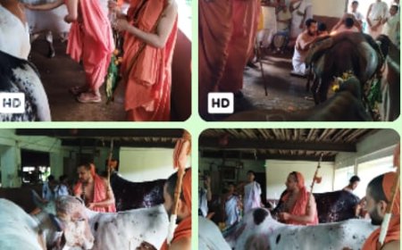 ಸ್ವರ್ಣವಲ್ಲಿಯಲ್ಲಿ ನಡೆದ ಗೋವರ್ಧನ ಗೋಪೂಜೆ