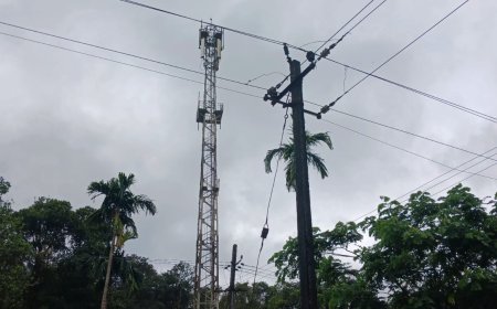 ಬಿಎಸ್ಎನ್ಎಲ್ ಟವರ್ ಬಂದರೂ ಸಿಗದ 4G ಭಾಗ್ಯ: ಸಾರ್ವಜನಿಕರು ಹೈರಾಣು