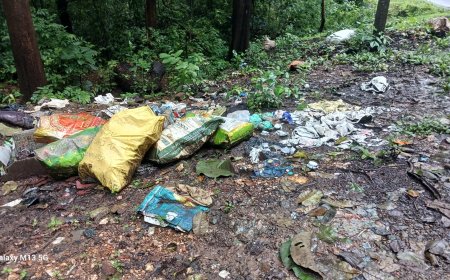 ಏಕ ಬಳಕೆಯ ಪ್ಲಾಸ್ಟಿಕ್ ವಿಲೇವಾರಿಗೆ ಸ್ಪಂದಿಸದ ದಾಂಡೇಲಿ ನಗರಸಭೆ: ನಗರದೆಲ್ಲೆಡೆ ಪ್ಲಾಸ್ಟಿಕ್ ಕೊಳಕು