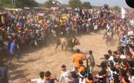ದೀಪಾವಳಿಯ ಸಂಭ್ರಮದಲ್ಲಿ ದುರಂತ: ಹೋರಿ ಹಾಯ್ದು ಮೂವರ ಸಾವು 