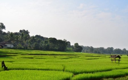 ಉತ್ತರ ಕನ್ನಡದಲ್ಲಿ ತಪ್ಪದ ಮಳೆಯ ಕಾಟ: ಹೈರಾಣಾದ ಜನಸಾಮಾನ್ಯರು