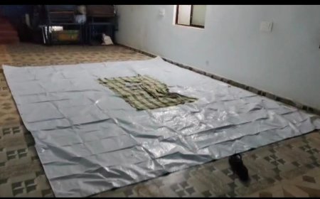 ಎಲೆ ಮಾನವರ ಮೇಲೆ ಪ್ರಕರಣ ದಾಖಲು