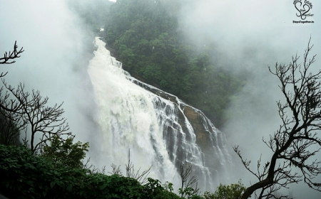ಉಂಚಳ್ಳಿ ಜಲಪಾತ – ಮಲೆನಾಡಿನ ಹೃದಯದಲ್ಲಿರುವ ಪ್ರಕೃತಿಯ ಅದ್ಭುತ ಕಾವ್ಯ! ವಿಡಿಯೋ ವೈರಲ್