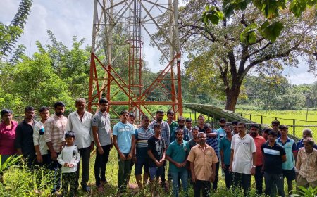 ಪಣಸೋಲಿಯಲ್ಲಿ ನೆಟ್ವರ್ಕ್ ಬಾಗ್ಯ