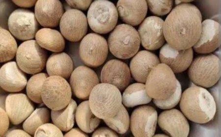 ಯಲ್ಲಾಪುರದಲ್ಲಿ ದಾಖಲೆ ದರ ಕಂಡ ಅಡಿಕೆ!