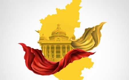 ರಾಜ್ಯೋತ್ಸವ ಸಂಭ್ರಮ: ಬೊಮ್ನಳ್ಳಿ ಸೇರಿ ಐವರು ಸಾಧಕರಿಗೆ  ಸನ್ಮಾನ