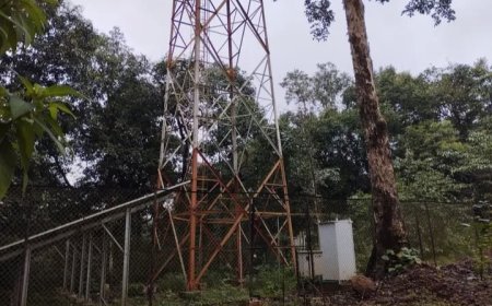 ಈ ಬಿ.ಎಸ್.ಎನ್.ಎಲ್ ಟವರ್ ಗೆ ಸಂಪರ್ಕ ಸೇವೆ ಕೊಡೋದು ಯಾವಾಗ!? 