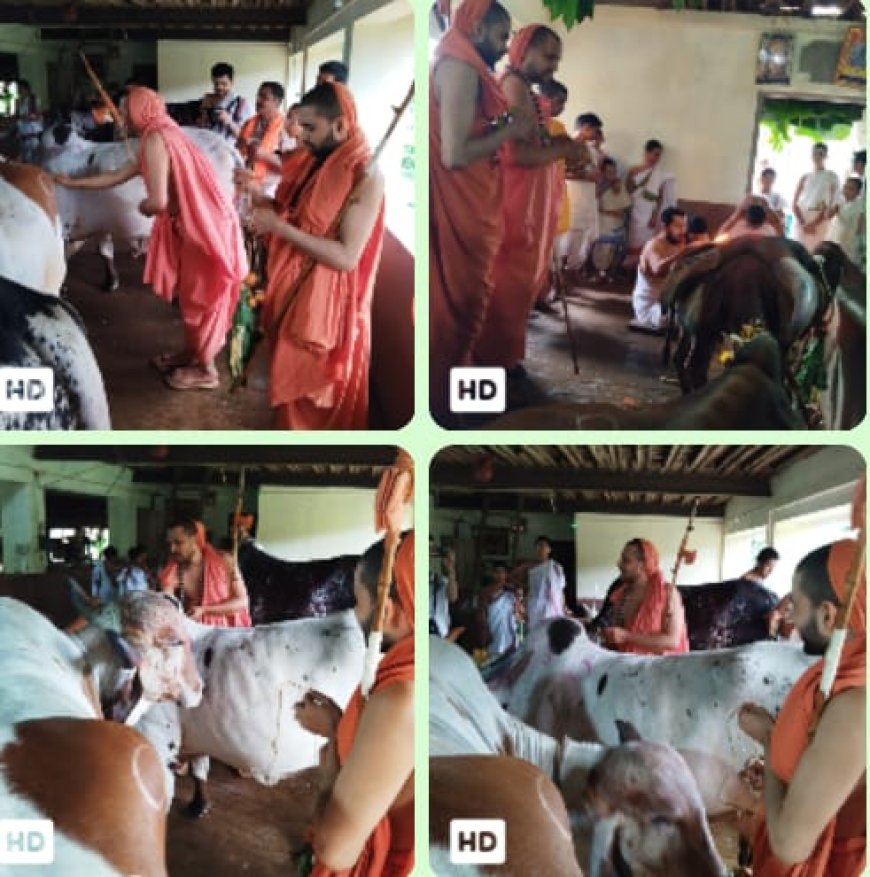 ಸ್ವರ್ಣವಲ್ಲಿಯಲ್ಲಿ ನಡೆದ ಗೋವರ್ಧನ ಗೋಪೂಜೆ