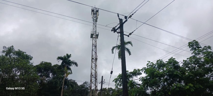 ಬಿಎಸ್ಎನ್ಎಲ್ ಟವರ್ ಬಂದರೂ ಸಿಗದ 4G ಭಾಗ್ಯ: ಸಾರ್ವಜನಿಕರು ಹೈರಾಣು