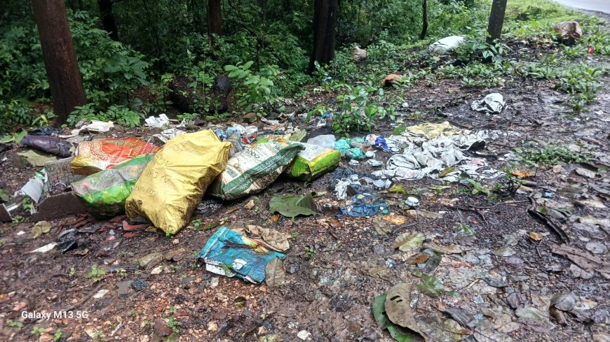 ಏಕ ಬಳಕೆಯ ಪ್ಲಾಸ್ಟಿಕ್ ವಿಲೇವಾರಿಗೆ ಸ್ಪಂದಿಸದ ದಾಂಡೇಲಿ ನಗರಸಭೆ: ನಗರದೆಲ್ಲೆಡೆ ಪ್ಲಾಸ್ಟಿಕ್ ಕೊಳಕು