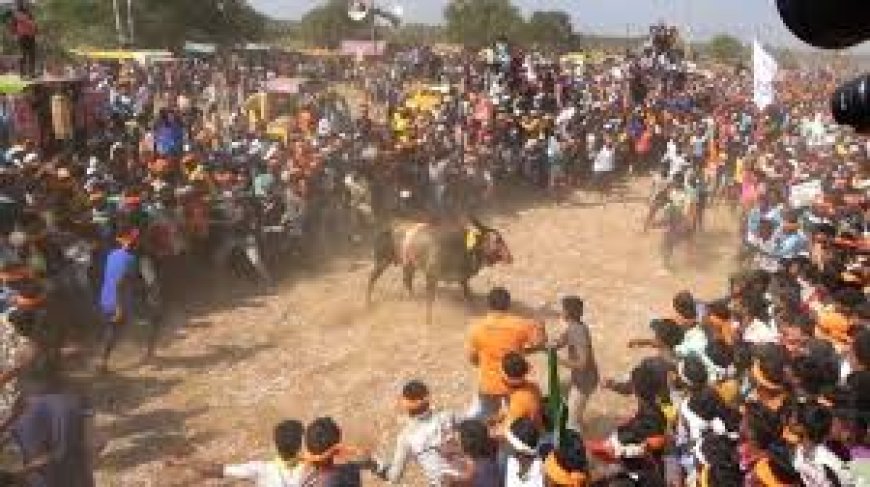 ದೀಪಾವಳಿಯ ಸಂಭ್ರಮದಲ್ಲಿ ದುರಂತ: ಹೋರಿ ಹಾಯ್ದು ಮೂವರ ಸಾವು 