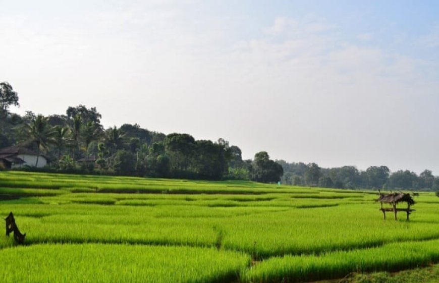 ಉತ್ತರ ಕನ್ನಡದಲ್ಲಿ ತಪ್ಪದ ಮಳೆಯ ಕಾಟ: ಹೈರಾಣಾದ ಜನಸಾಮಾನ್ಯರು