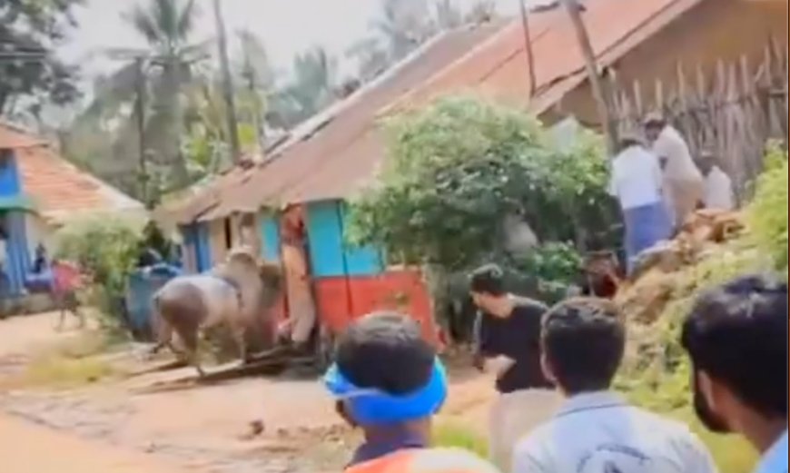 ಹೋರಿ ಬೆದರಿಸುವ ಸ್ಪರ್ಧೆ ವೇಳೆ ಮಾಜಿ ಶಾಸಕನಿಗೆ ಹೋರಿಯ ತಿವಿತ 💥; ಆಘಾತಕಾರಿ ವೀಡಿಯೊ ವೈರಲ್‌
