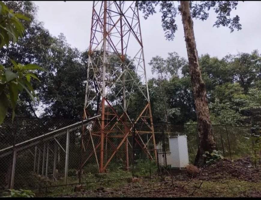 ಈ ಬಿ.ಎಸ್.ಎನ್.ಎಲ್ ಟವರ್ ಗೆ ಸಂಪರ್ಕ ಸೇವೆ ಕೊಡೋದು ಯಾವಾಗ!? 