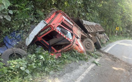 ಲಾರಿ ಪಲ್ಟಿ: ಚಾಲಕ ಸಾವು