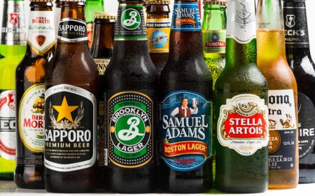 ವೈನ್, ಬಿಯರ್ ಬಾಟಲಿಗಳ ದುರಂತ: ನಮ್ಮ ಪರಿಸರದ ಮೇಲೆ “ಮೌನ ವಿಷ”