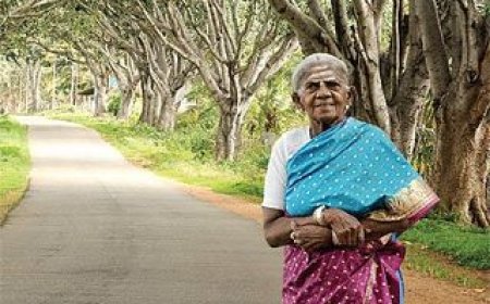 ವೃಕ್ಷಮಾತೆ ಸಾಲುಮರದ ತಿಮ್ಮಕ್ಕ ವಿಧಿವಶ : ವೃಕ್ಷಗಳನ್ನು ಮಕ್ಕಳಂತೆ ಬೆಳೆಸಿದ್ಧ ಮಹಾತಾಯಿ ಇನ್ನಿಲ್ಲ