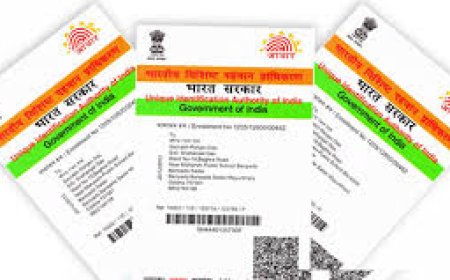 ಹೆಗಡೆಕಟ್ಟಾದಲ್ಲಿ ಆಧಾರ ತಿದ್ದುಪಡಿ ಹಾಗೂ ನೊಂದಣಿ ಮೇಳ