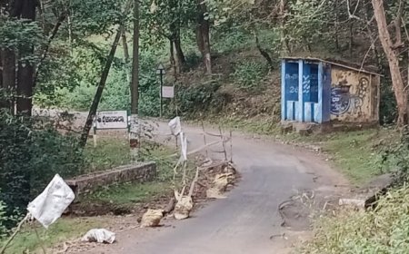 ಮುರಿದು ಬಿದ್ದ ಕೈಟನಾಲಾ ಸೇತುವೆಗಿಲ್ಲ ದುರಸ್ಥಿ ಭಾಗ್ಯ