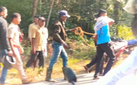 ಗಾಯಗೊಂಡ ಜಿಂಕೆಯನ್ನು ರಕ್ಷಿಸಿ ಕಾಡಿಗೆ ಬಿಟ್ಟ ಅರಣ್ಯ ಇಲಾಖೆ ಅಧಿಕಾರಿಗಳು