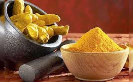 ಅರಿಶಿಣ (ಹರಿದ್ರಾ) – ಆಯುರ್ವೇದದ ಸುವರ್ಣ ಔಷಧ ✨