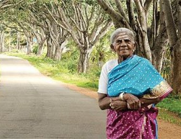 ವೃಕ್ಷಮಾತೆ ಸಾಲುಮರದ ತಿಮ್ಮಕ್ಕ ವಿಧಿವಶ : ವೃಕ್ಷಗಳನ್ನು ಮಕ್ಕಳಂತೆ ಬೆಳೆಸಿದ್ಧ ಮಹಾತಾಯಿ ಇನ್ನಿಲ್ಲ