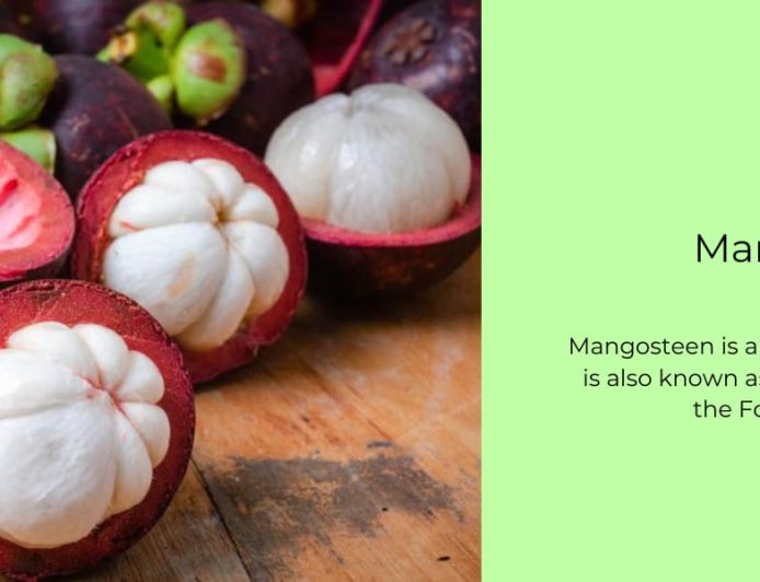 ಹಣ್ಣುಗಳ ರಾಣಿ ಮುರುಗಲ: ಇದರ ಬಗ್ಗೆ ನಿಮಗೆಷ್ಟು ಗೊತ್ತು?