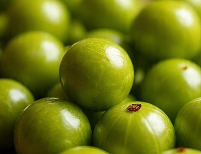 ನೆಲ್ಲಿಕಾಯಿ: ಆಯುರ್ವೇದದ ಅಮೃತ ಫಲ ✨