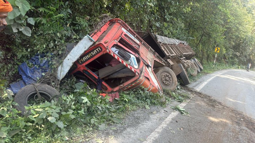 ಲಾರಿ ಪಲ್ಟಿ: ಚಾಲಕ ಸಾವು