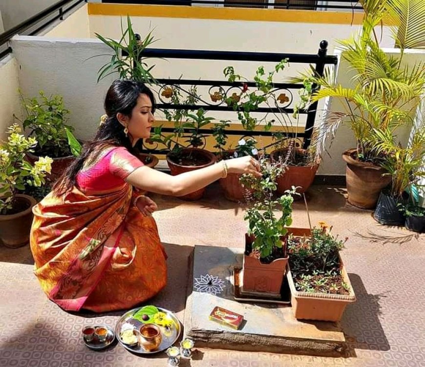 ತುಳಸಿ ಪೂಜೆ – ಮೂಢ ನಂಬಿಕೆ ಎನ್ನುವವರು ಇಲ್ಲಿ ನೋಡಿ