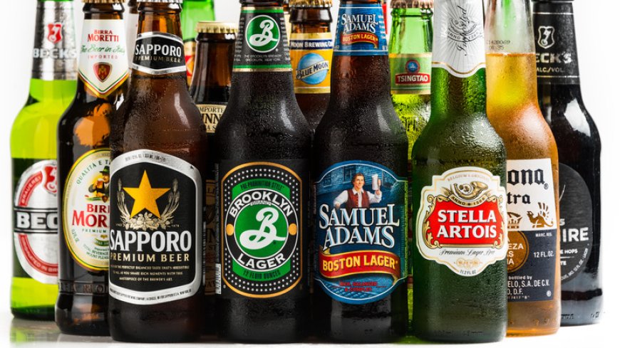 ವೈನ್, ಬಿಯರ್ ಬಾಟಲಿಗಳ ದುರಂತ: ನಮ್ಮ ಪರಿಸರದ ಮೇಲೆ “ಮೌನ ವಿಷ”