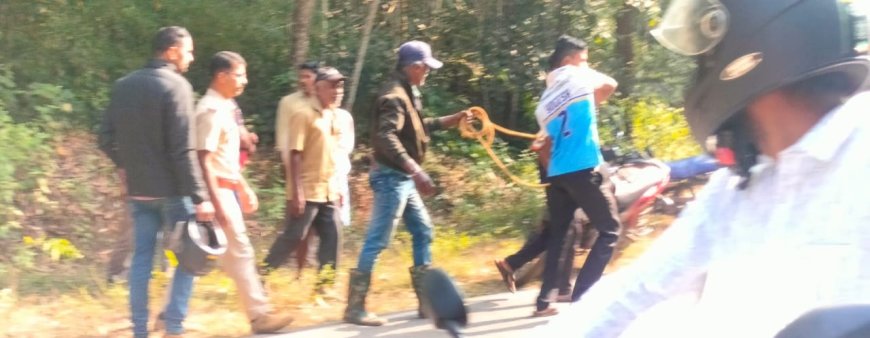 ಗಾಯಗೊಂಡ ಜಿಂಕೆಯನ್ನು ರಕ್ಷಿಸಿ ಕಾಡಿಗೆ ಬಿಟ್ಟ ಅರಣ್ಯ ಇಲಾಖೆ ಅಧಿಕಾರಿಗಳು