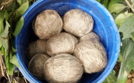 ನಾಡಬಾಂಬ್ ಸ್ಪೋಟ: ಸ್ವಲ್ಪದರಲ್ಲೆ ತಪ್ಪಿದ ಅನಾಹುತ