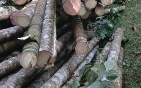 ಕ್ಯಾದಗಿ ವಲಯ ಕಛೇರಿಗೆ ದಿ.೩೧ ರಂದು ಅರಣ್ಯವಾಸಿಗಳ ಭೇಟಿ - ಚರ್ಚೆ ನಿರ್ಧಾರ