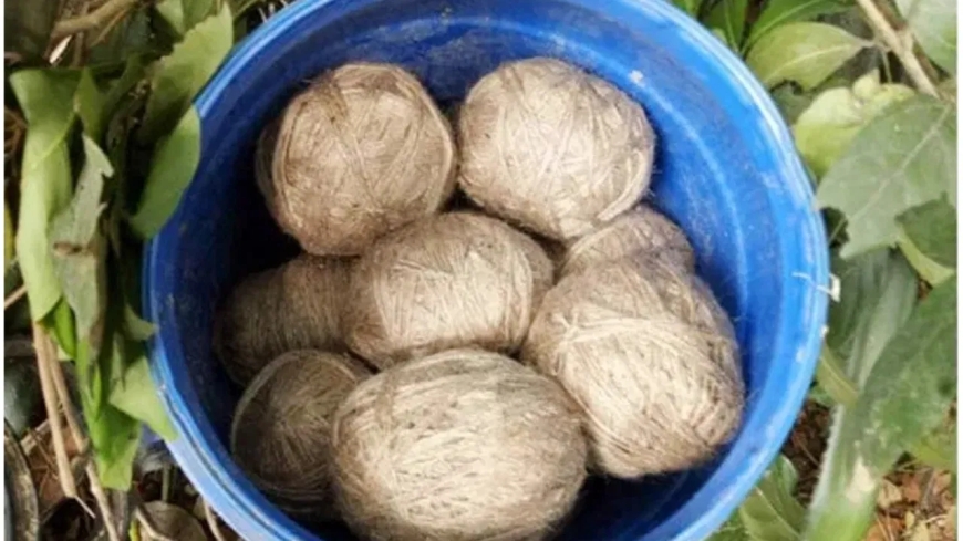 ನಾಡಬಾಂಬ್ ಸ್ಪೋಟ: ಸ್ವಲ್ಪದರಲ್ಲೆ ತಪ್ಪಿದ ಅನಾಹುತ