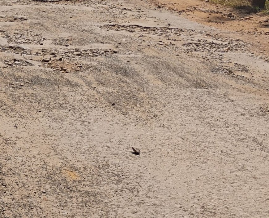 ಯಲ್ಲಾಪುರ ತಾಲೂಕಿನ ರಸ್ತೆ ಅಭಿವೃದ್ಧಿಗೆ ಅನುದಾನ ಮಂಜೂರು: ಶುರುವಾಯ್ತು ಕ್ರೆಡಿಟ್‌ ವಾರ್