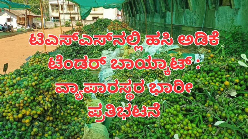 ಟಿಎಸ್‌ಎಸ್‌ನಲ್ಲಿ ಹಸಿ ಅಡಿಕೆ ಟೆಂಡರ್‌ ಬಾಯ್ಕಾಟ್‌ : ವ್ಯಾಪಾರಸ್ಥರ ಭಾರೀ ಪ್ರತಿಭಟನೆ