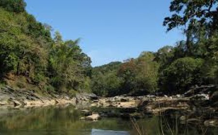 ಬೇಡ್ತಿ ಹಾಗೂ ವರದಾ ನದಿ ಜೋಡಣೆ ಯೋಜನೆಯಿಂದ ಪರಿಸರದ ಮೇಲಾಗುವ ಪರಿಣಾಮ