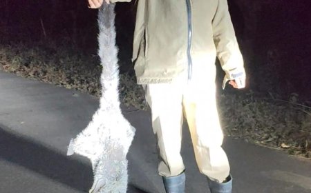 ದೈತ್ಯ ಹಾರುವ ಬೆಕ್ಕನ್ನು ರಕ್ಷಿಸಿದ ಸುನೀಲ್‌ ಹೊನ್ನಾವರ