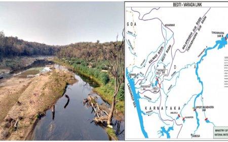 ಬೇಡ್ತಿ–ವರದಾ ನದಿ ಜೋಡಣೆ ಯೋಜನೆ ವಿರೋಧಿಸಿ JICAಗೆ ಪತ್ರ ಬರೆದ ಶಿರಸಿಯ ವೈದ್ಯ ಡಾ. ರವಿಕಿರಣ ಪಟವರ್ಧನ