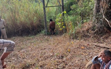 ಗಿರಗಡ್ಡೆ ಬಳಿ ವಿದ್ಯುತ್ ಕಂಬದಲ್ಲಿ ಶವ ಪತ್ತೆ; ಅನುಮಾನಾಸ್ಪದ ಸಾವು ಎಂದು ಶಂಕೆ