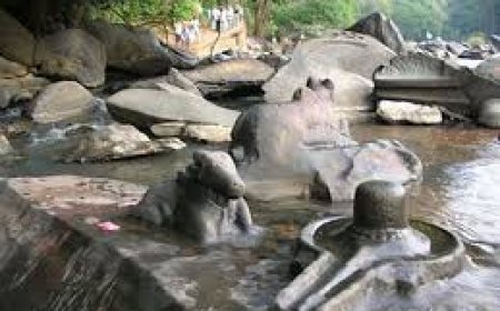 ಬೇಡ್ತಿ-ವರದಾ ನದಿ ಜೋಡಣೆ: ಮುಳುಗುವ ಮೊದಲು ಸಹಸ್ರಲಿಂಗವನ್ನು ಕಣ್ತುಂಬಿಕೊಳ್ಳಿ