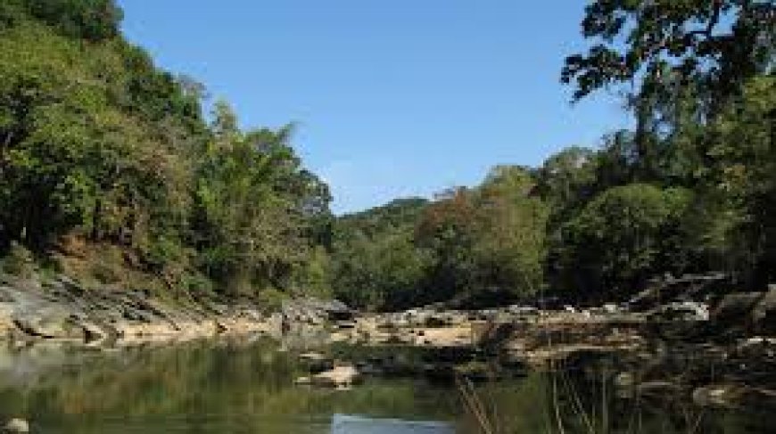 ಬೇಡ್ತಿ ಹಾಗೂ ವರದಾ ನದಿ ಜೋಡಣೆ ಯೋಜನೆಯಿಂದ ಪರಿಸರದ ಮೇಲಾಗುವ ಪರಿಣಾಮ