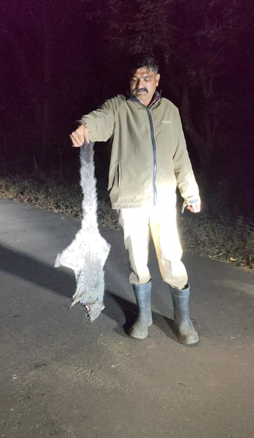 ದೈತ್ಯ ಹಾರುವ ಬೆಕ್ಕನ್ನು ರಕ್ಷಿಸಿದ ಸುನೀಲ್‌ ಹೊನ್ನಾವರ