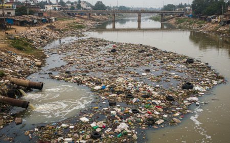 ತುಂಗಾಪಾನ ಇನ್ನು ಭ್ರಮೆ ಮಾತ್ರ! ಗಂಭೀರ ಸ್ವರೂಪದಲ್ಲಿ ಮಲಿನಗೊಂಡ ತುಂಗೆಯ ನೀರು ! ಮಲಿನ ನೀರಿಗೆ ಶಾಲ್ಮಲೆಯ ಶುದ್ಧ ನೀರು ಸೇರಿಸುವ ಹುನ್ನಾರ